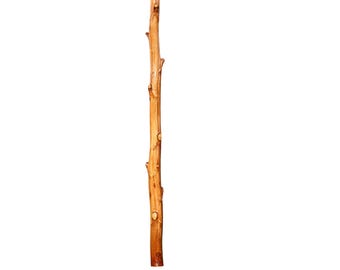 Agave Didgeridoo Originally Hand Crafted Epoxy Finish the Hook AK2122 -  Etsy Australia