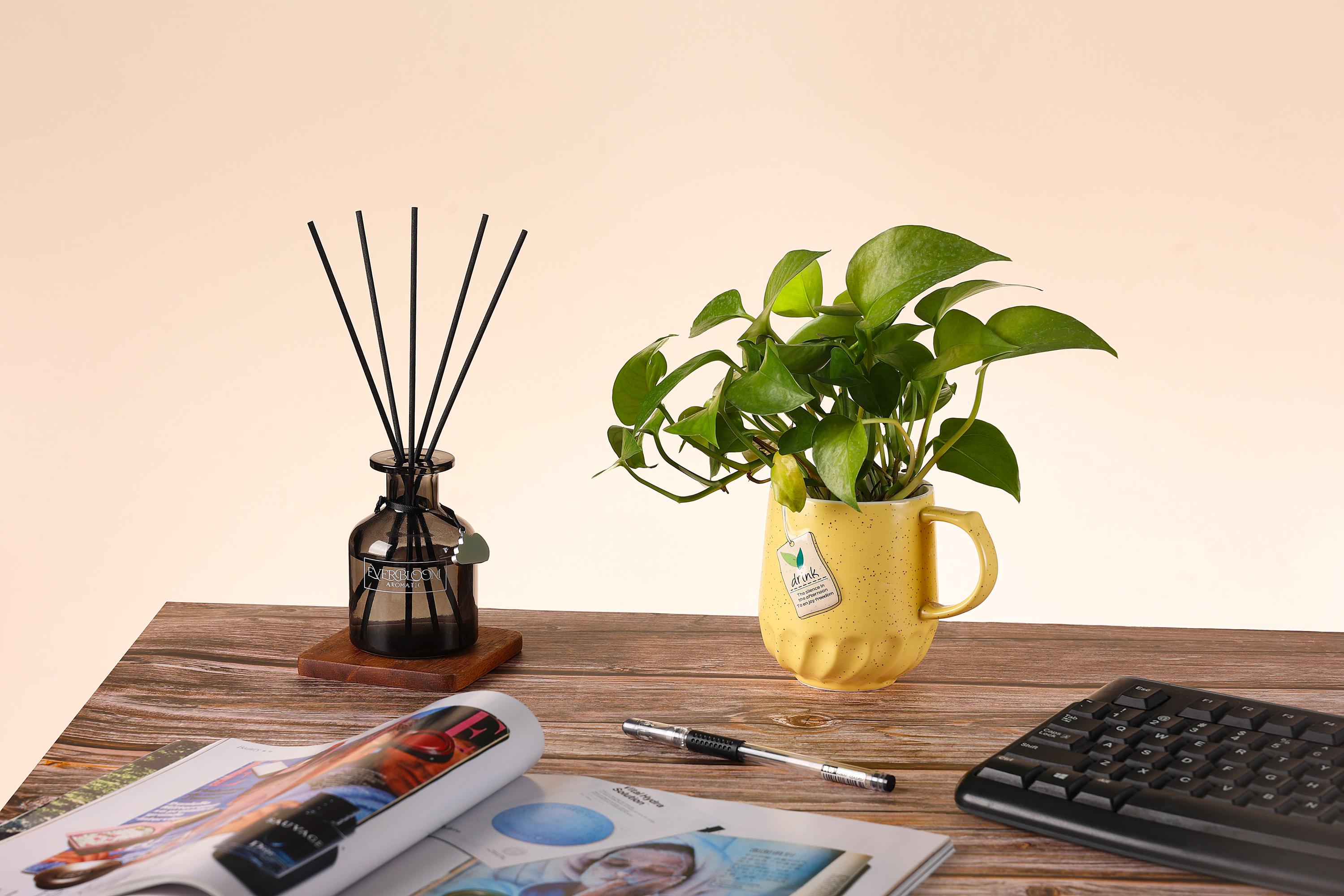 Bouquet Series Reed Diffuser, Field Trip Scented Oil, Long-lasting ...
