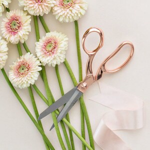 Rose Gold Scissors Rose Quartz image 2