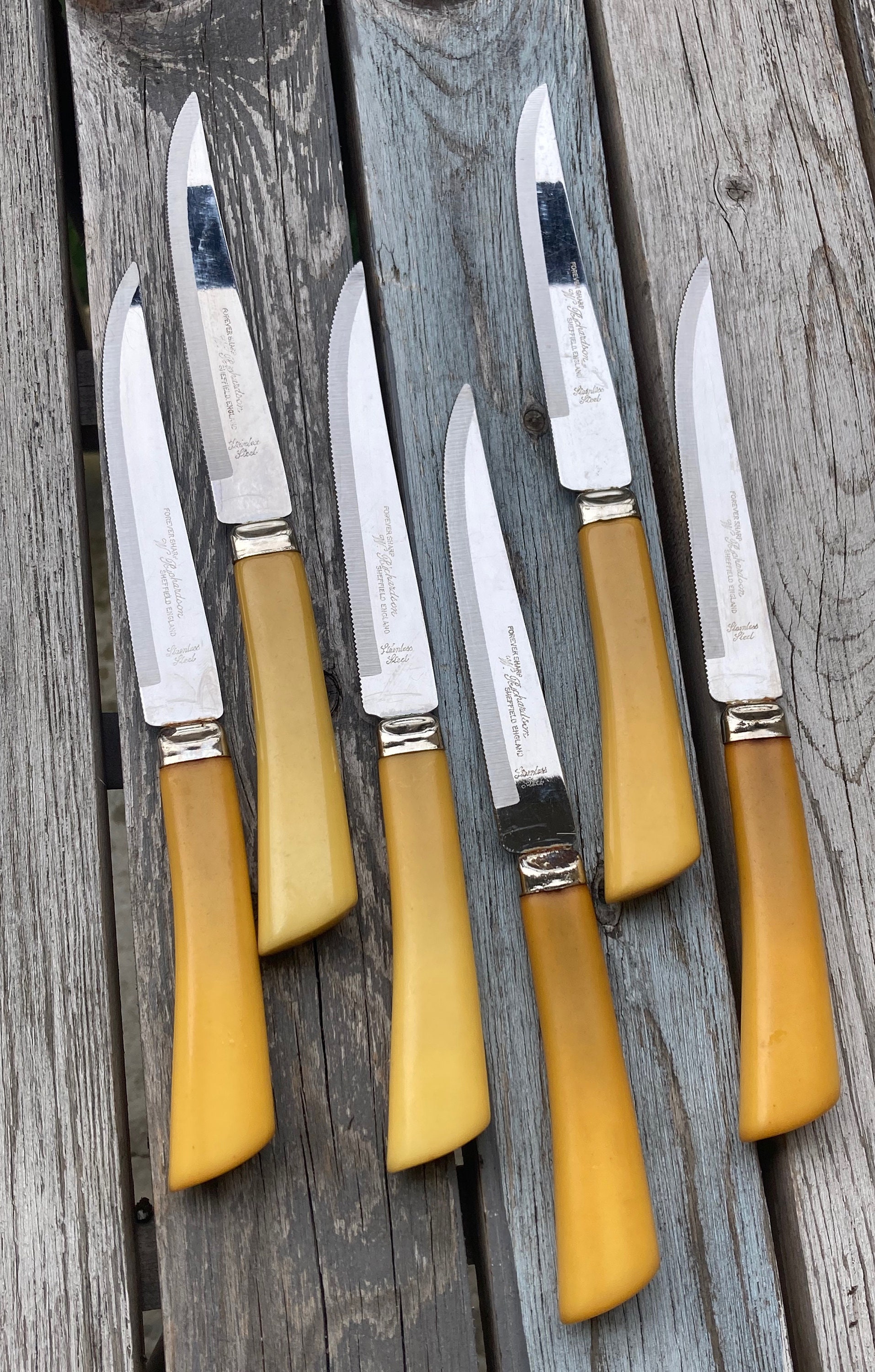 VTG 8 Steak Knives Gold Floral On Wood Stainless Steel Regent Sheffield  England