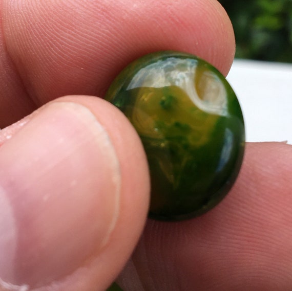 Bakelite Creamed Spinach Screwback Earrings - image 5