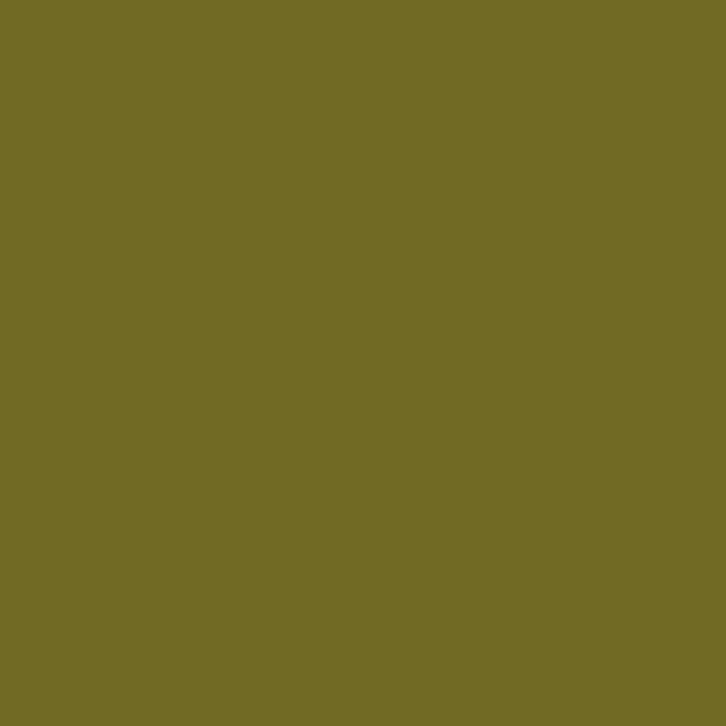 Painter/'s Palette Solid in Old Green by Paintbrush Studio Sold by the Half Yard