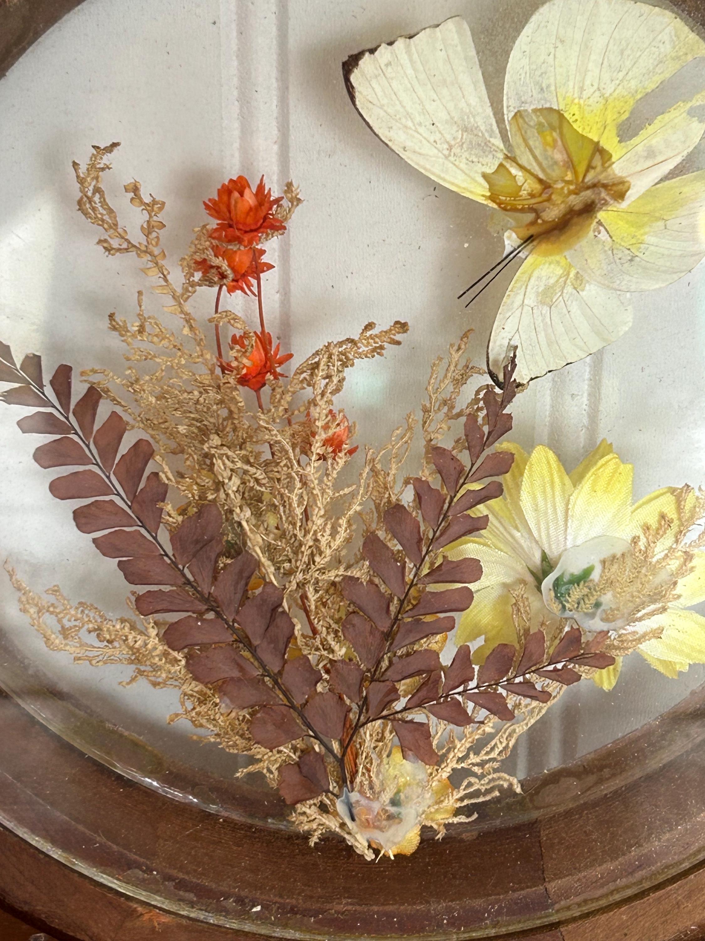ボタニカルアート　花と蝶/ヴィンテージアート/植物画フレーム ボタニカルアート/花と蝶/ヴィンテージアート/植物画フレーム 【公式