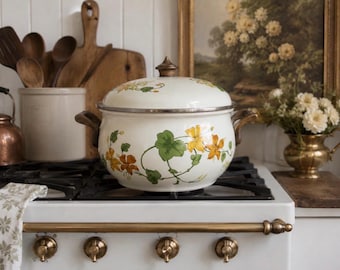 Villeroy & Boch Geranium Enamel Pot with Lid | Floral Dutch Oven, Brass Handles | 6 qt