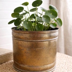 Könnte beinhalten: Ein Set aus drei Keramikbechern mit gesprenkelter, matter Oberfläche. Die Becher sind in den Farbtönen Creme, Hellgrau und Dunkelgrau gehalten. Jeder Becher hat ein schlichtes, modernes Design und einen abgerundeten Griff.