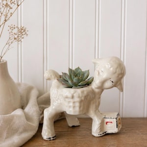 May include: A cream-colored ceramic lamb planter with a succulent plant inside. The lamb has a textured surface and is standing on four legs. A small block is attached to one leg. The planter is on a wooden surface.