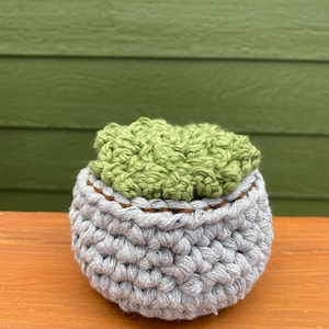 Crochet Succulent Plant