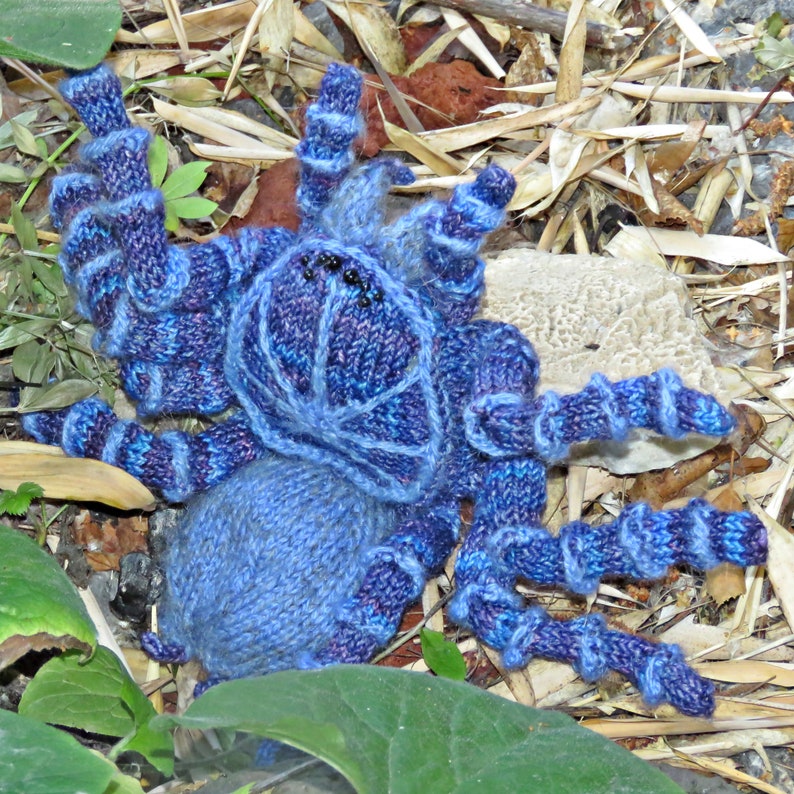 knitting pattern Taciturn Tarantula image 5