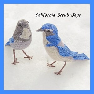 Knitting Pattern - Boisterous Blue Jays