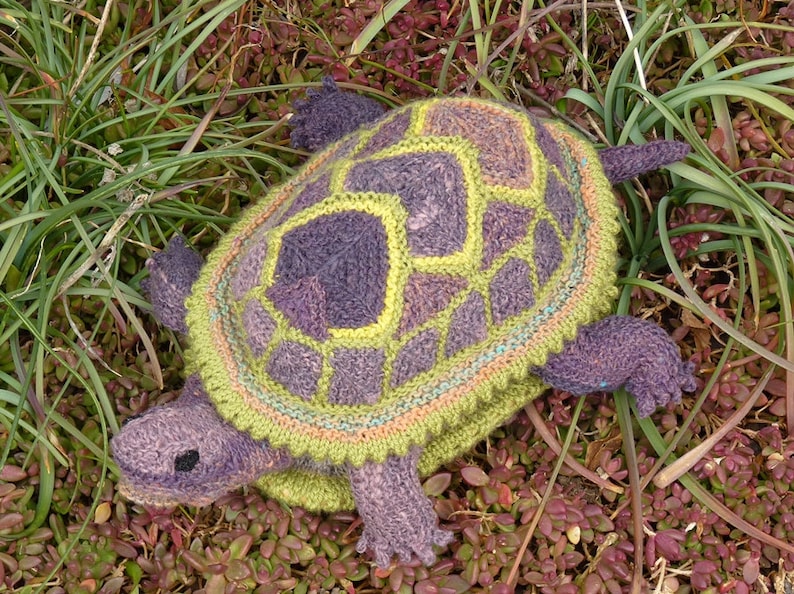 knitting pattern Tenacious Turtle image 1