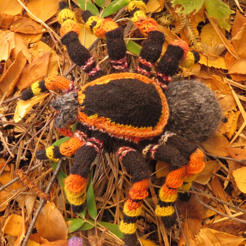 knitting pattern Taciturn Tarantula image 8