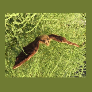 Può includere: Un pipistrello di maglia marrone con una superficie testurizzata, appeso a un ramo verde frondoso.