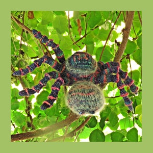 knitting pattern Taciturn Tarantula image 1