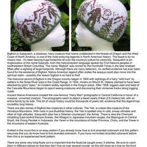 Knitting Pattern - Stranded Bigfoot Beanie image 3