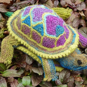 knitting pattern Tenacious Turtle image 4