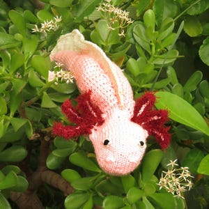 May include: A handcrafted knitted axolotl toy featuring a pale pink body with a textured cream-colored dorsal fin and prominent dark red feathery external gills. The creature has small black bead eyes and a rounded head, showcasing detailed yarn work.