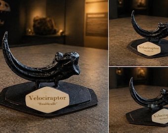 ヴェロキラプトルのレプリカの足の爪恐竜ラプトル恐竜の化石の足