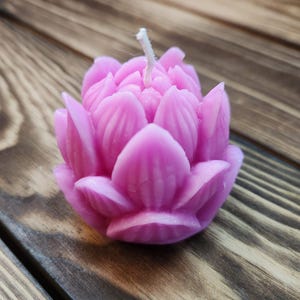 Lotus Flower