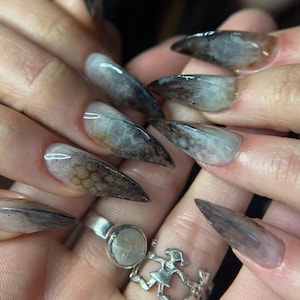 May include: Close-up of long, pointed fingernails with a unique design. The nails feature a gradient effect, transitioning from a light, translucent base to darker, smoky tips. The design incorporates brown and white patterns, creating a textured, artistic look.