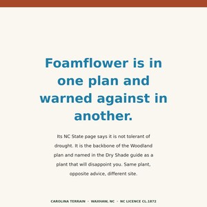 May include: A square graphic with a cream background and a rust-colored top border. The text reads: Foamflower is in one plan and warned against in another. Its NC State page says it is not tolerant of drought. It is the backbone of the Woodland plan and named in the Dry Shade guide as a plant that will disappoint you. Same plant, opposite advice, different site. CAROLINA TERRAIN &middot; WAXHAW, NC &middot; NC LICENCE CL.1872