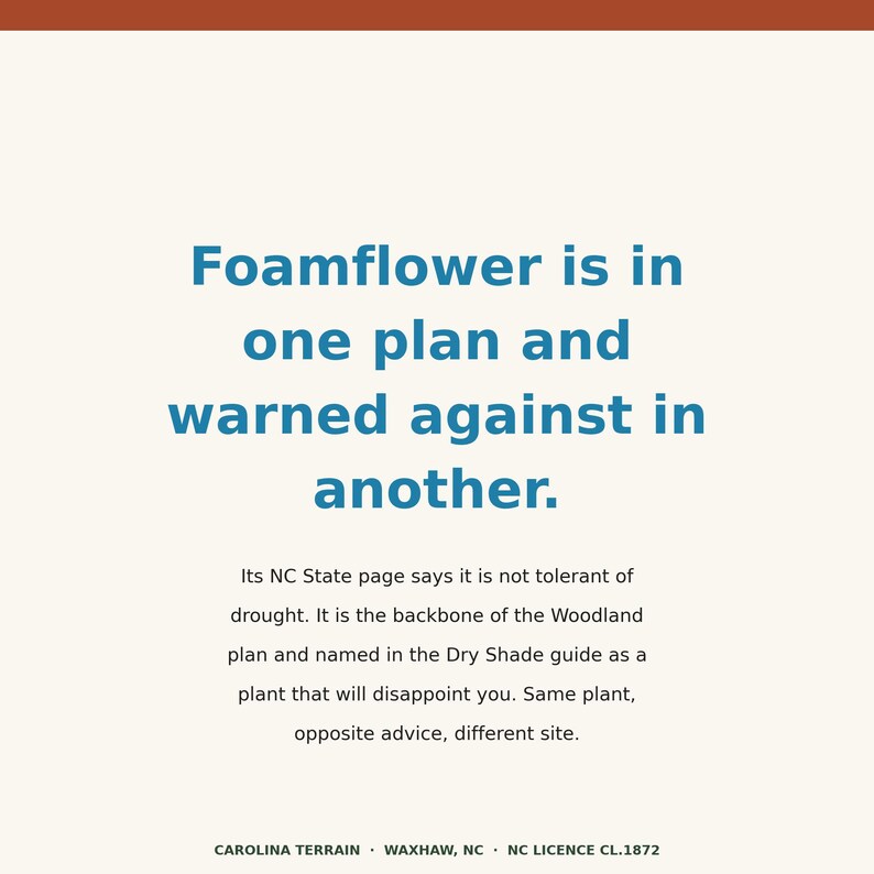 May include: A square graphic with a cream background and a rust-colored top border. The text reads: Foamflower is in one plan and warned against in another. Its NC State page says it is not tolerant of drought. It is the backbone of the Woodland plan and named in the Dry Shade guide as a plant that will disappoint you. Same plant, opposite advice, different site. CAROLINA TERRAIN &middot; WAXHAW, NC &middot; NC LICENCE CL.1872