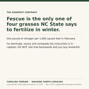May include: An informational graphic with dark green text on a light background. It states: THE SHARPEST CONTRAST. Fescue is the only one of four grasses NC State says to fertilize in winter. One pound of nitrogen per 1,000 square feet in February.