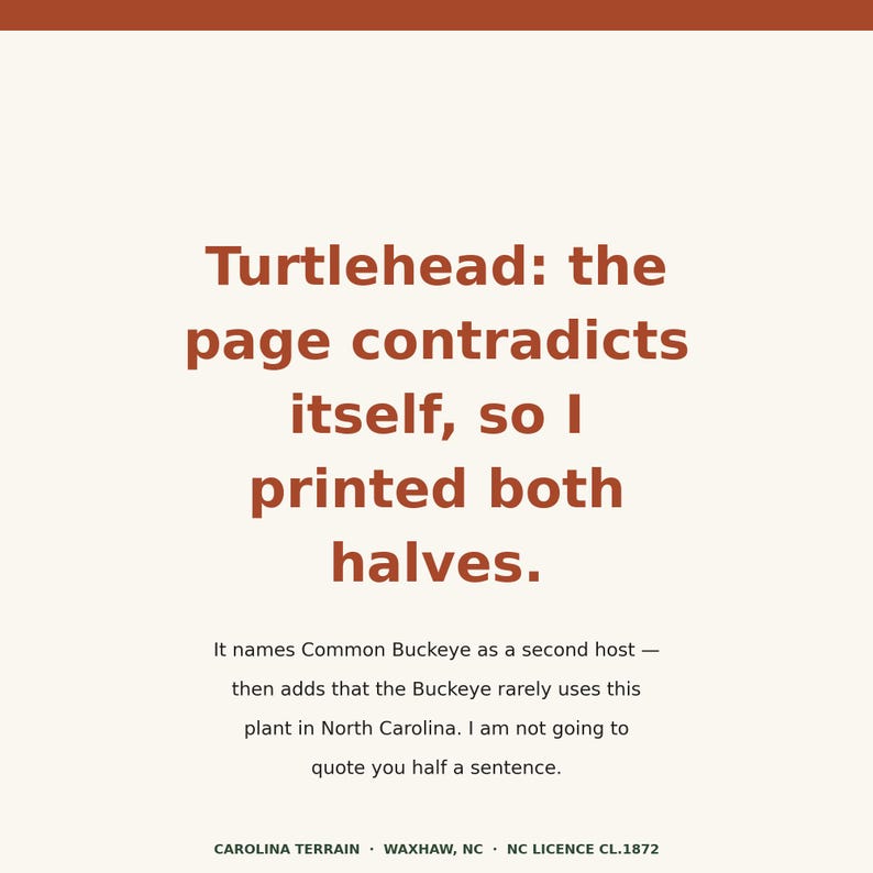 May include: A cream-colored rectangular sign with dark orange text. The main text reads: Turtlehead: the page contradicts itself, so I printed both halves. It names Common Buckeye as a second host &mdash; then adds that the Buckeye rarely uses this plant in North Carolina. I am not going to quote you half a sentence. CAROLINA TERRAIN &middot; WAXHAW, NC &middot; NC LICENCE CL.1872.