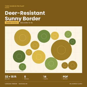 May include: A digital garden planting plan titled Deer-Resistant Sunny Border for USDA Zones 7b-8a. The graphic features a grid layout with various sized circles in shades of green and gold representing 14 plants across 6 species, with a 32 x 15 ft bed size.