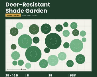 Może przedstawiać: Cyfrowy plan ogrodu zatytułowany Deer-Resistant Shade Garden dla stref USDA 7b-8a. Grafika przedstawia siatkę z różnej wielkości kołami w odcieniach zieleni, reprezentującymi 28 roślin z 8 gatunków. Rozmiar rabaty wynosi 28 x 16 ft.