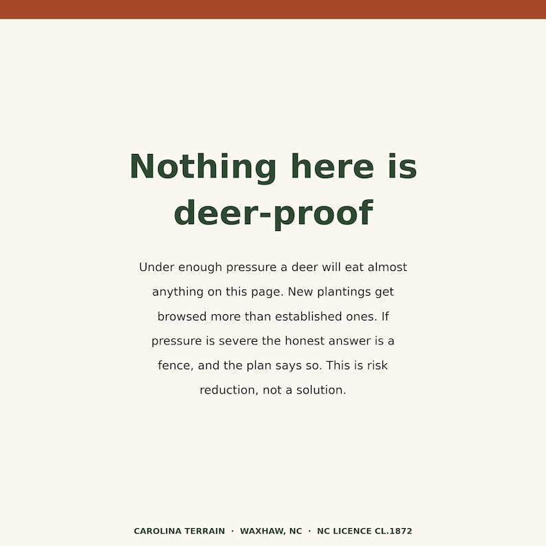 May include: A rectangular sign with a cream background and dark green text that reads: Nothing here is deer-proof. Under enough pressure a deer will eat almost anything on this page. New plantings get browsed more than established ones. If pressure is severe the honest answer is a fence, and the plan says so. This is risk reduction, not a solution. Carolina Terrain, Waxhaw, NC, NC Licence CL.1872.