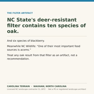 May include: A white informational graphic with dark green text titled THE FILTER ARTIFACT. It states NC State's deer-resistant filter contains ten species of oak and six species of blackberry, noting acorns are a food source. Bottom text reads CAROLINA TERRAIN.