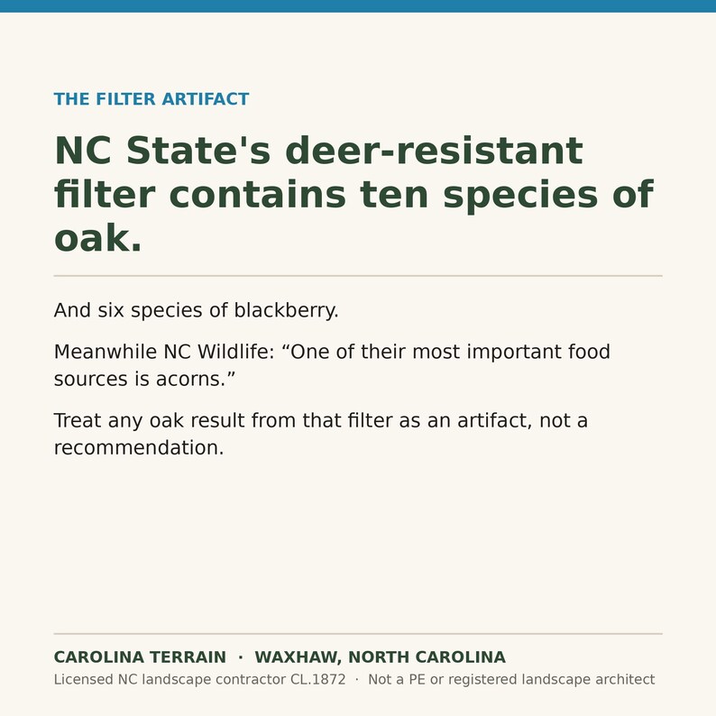 May include: A white informational graphic with dark green text titled THE FILTER ARTIFACT. It states NC State's deer-resistant filter contains ten species of oak and six species of blackberry, noting acorns are a food source. Bottom text reads CAROLINA TERRAIN.