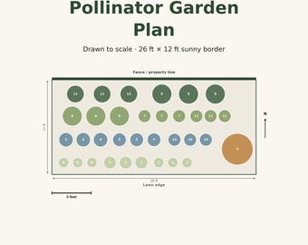 Pollinator Garden Plan, Drawn to Scale Border Design, Bloom Calendar (PDF)