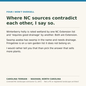 May include: A white informational graphic with dark green and blue text. The header reads FOUR I WON'T OVERSELL. The body text discusses conflicting North Carolina plant sources, specifically winterberry holly, swamp azalea, and fringetree. The footer displays CAROLINA TERRAIN, WAXHAW, NORTH CAROLINA, and license details.