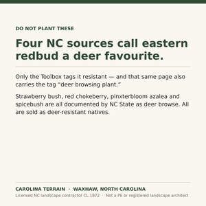 May include: A white informational sign with dark green text titled DO NOT PLANT THESE. It states: Four NC sources call eastern redbud a deer favourite. Only the Toolbox tags it resistant &mdash; and that same page also carries the tag deer browsing plant. Strawberry bush, red chokeberry, pinxterbloom azalea and spicebush are all documented by NC State as deer browse. All are sold as deer-resistant natives. Bottom text reads: CAROLINA TERRAIN &middot; WAXHAW, NORTH CAROLINA. Licensed NC landscape contractor CL.1872 &middot; Not a PE or registered landscape architect.
