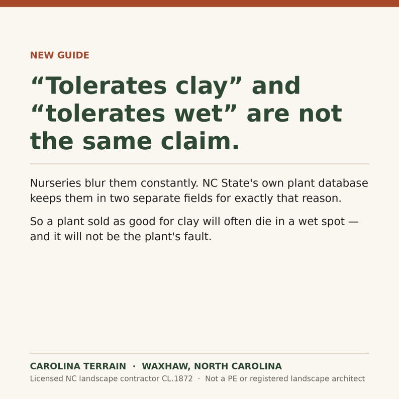 May include: A white informational graphic with dark green text titled NEW GUIDE. It states: Tolerates clay and tolerates wet are not the same claim. Nurseries blur them constantly. NC State's plant database keeps them separate. Carolina Terrain, Waxhaw, NC.
