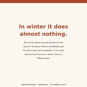 May include: A square graphic with a cream background and a rust-colored top border. The text reads: In winter it does almost nothing. Nine of the eleven species die back to the ground. The grass holds its seedheads and the phlox stays semi-evergreen. If you want the same bed to carry a winter, that is a different plan. CAROLINA TERRAIN &middot; WAXHAW, NC &middot; NC LICENCE CL.1872