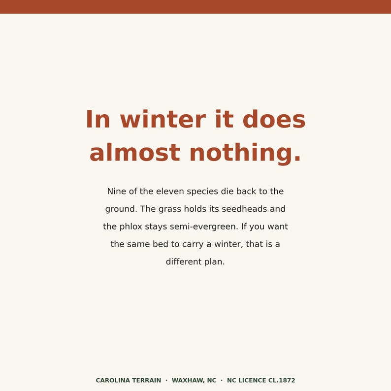 May include: A square graphic with a cream background and a rust-colored top border. The text reads: In winter it does almost nothing. Nine of the eleven species die back to the ground. The grass holds its seedheads and the phlox stays semi-evergreen. If you want the same bed to carry a winter, that is a different plan. CAROLINA TERRAIN &middot; WAXHAW, NC &middot; NC LICENCE CL.1872