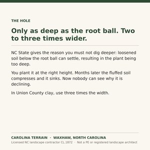 May include: An informational sign with dark green text on a light background titled THE HOLE. It states: Only as deep as the root ball. Two to three times wider. It explains why digging deeper causes soil to settle and plants to sink, and mentions Union County clay.