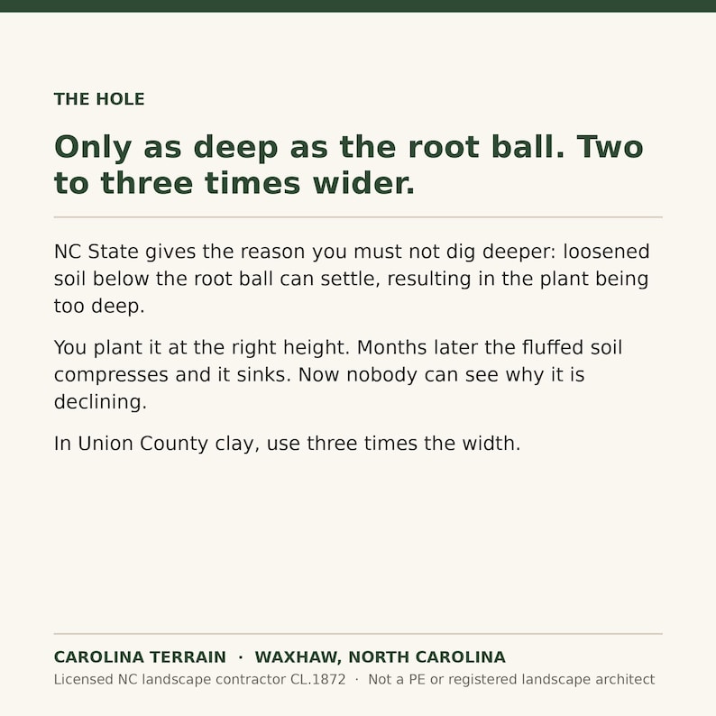 May include: An informational sign with dark green text on a light background titled THE HOLE. It states: Only as deep as the root ball. Two to three times wider. It explains why digging deeper causes soil to settle and plants to sink, and mentions Union County clay.