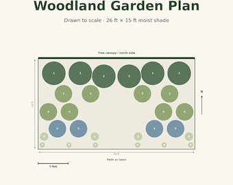 Moist Shade Woodland Garden Plan, Native Ferns, Zone 7b-8a (PDF)