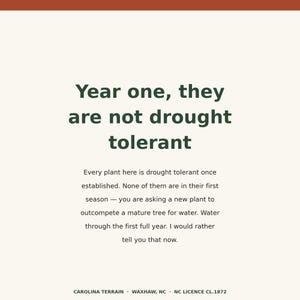 May include: A square informational sign with a cream background and dark green text. The text reads: Year one, they are not drought tolerant. Every plant here is drought tolerant once established. Water through the first full year. Carolina Terrain.