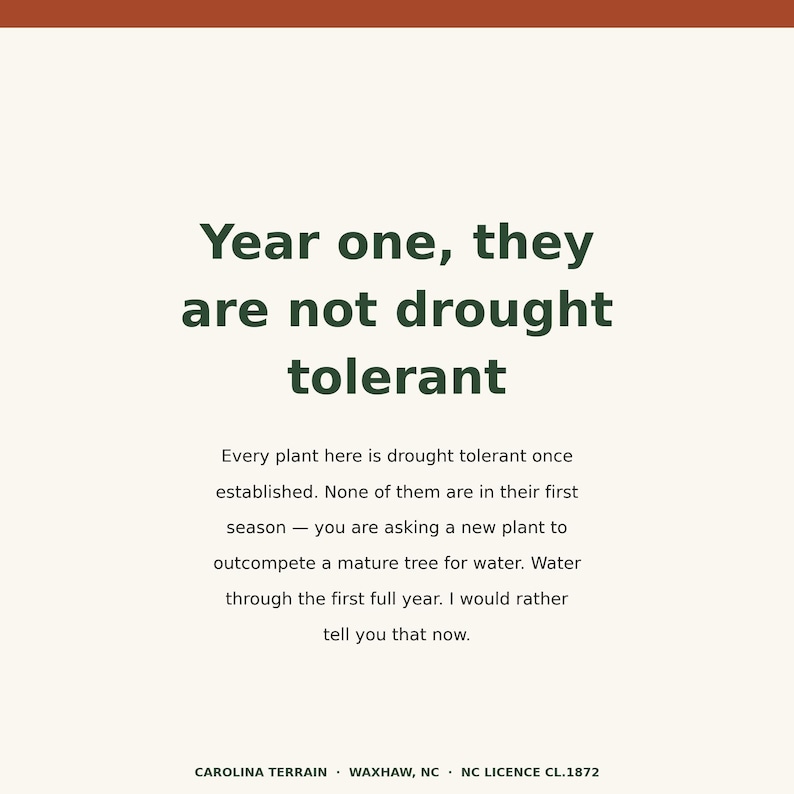 May include: A square informational sign with a cream background and dark green text. The text reads: Year one, they are not drought tolerant. Every plant here is drought tolerant once established. Water through the first full year. Carolina Terrain.