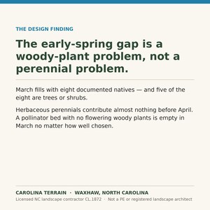 May include: A white informational graphic with dark green text titled THE DESIGN FINDING. It states: The early-spring gap is a woody-plant problem, not a perennial problem. March fills with eight documented natives&mdash;and five of the eight are trees or shrubs. Herbaceous perennials contribute almost nothing before April. A pollinator bed with no flowering woody plants is empty in March no matter how well chosen. CAROLINA TERRAIN, WAXHAW, NORTH CAROLINA, Licensed NC landscape contractor CL.1872.