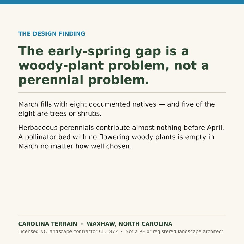 May include: A white informational graphic with dark green text titled THE DESIGN FINDING. It states: The early-spring gap is a woody-plant problem, not a perennial problem. March fills with eight documented natives&mdash;and five of the eight are trees or shrubs. Herbaceous perennials contribute almost nothing before April. A pollinator bed with no flowering woody plants is empty in March no matter how well chosen. CAROLINA TERRAIN, WAXHAW, NORTH CAROLINA, Licensed NC landscape contractor CL.1872.