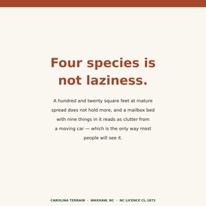 May include: A cream-colored graphic print featuring the brown text: Four species is not laziness. A hundred and twenty square feet at mature spread does not hold more, and a mailbox bed with nine things in it reads as clutter from a moving car.