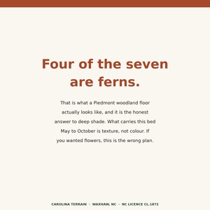 Op de afbeelding: Een vierkante afbeelding met een cr&egrave;mekleurige achtergrond en een roestkleurige bovenrand. De tekst luidt: Four of the seven are ferns. That is what a Piedmont woodland floor actually looks like, and it is the honest answer to deep shade. What carries this bed May to October is texture, not colour. If you wanted flowers, this is the wrong plan. CAROLINA TERRAIN &middot; WAXHAW, NC &middot; NC LICENCE CL.1872