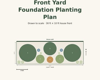 Front Yard Foundation Planting Plan, 30ft x 10ft Shrub Design (PDF)
