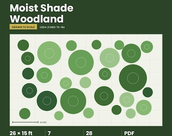 Może przedstawiać: Plan nasadzeń ogrodowych zatytułowany A Piedmont Forest Floor Moist Shade Woodland. Grafika przedstawia siatkę z różnej wielkości zielonymi kołami reprezentującymi 28 roślin z 7 gatunków. Tekst zawiera USDA Zones 7b-8a, 26 x 15 ft oraz NC Licence CL1872.