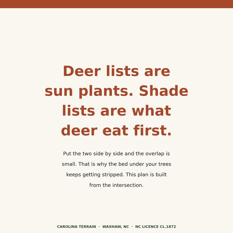 May include: A square graphic with a cream background and dark orange text. The text reads: Deer lists are sun plants. Shade lists are what deer eat first. Put the two side by side and the overlap is small. That is why the bed under your trees keeps getting stripped. This plan is built from the intersection. Carolina Terrain, Waxhaw, NC, NC Licence CL.1872.